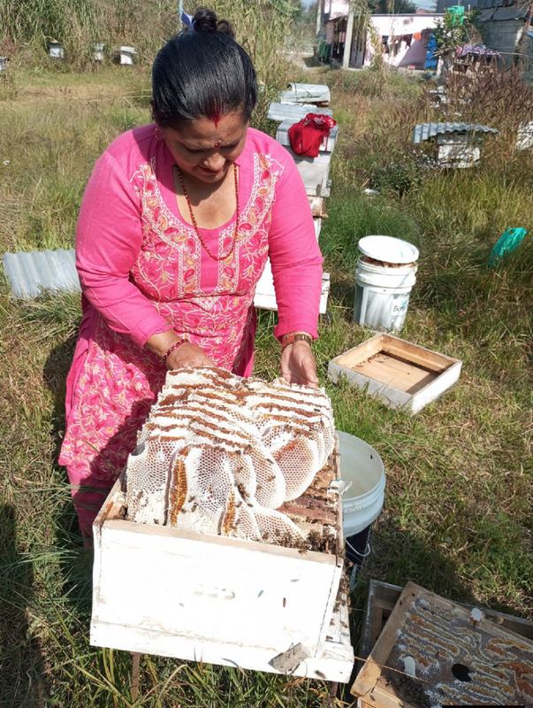 Forest Honey