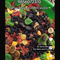 Mixed Nuts and Fruits