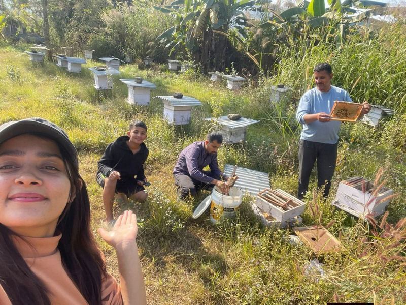 Forest Honey