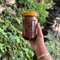 Dry Sidra  Fish Achar
