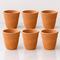 Handmade Terracotta Kulhad Cups (Set of 6)