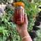 Dalle (Akabarey) Tama Mix Achar