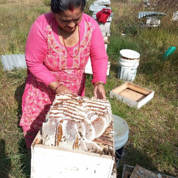 Forest Honey