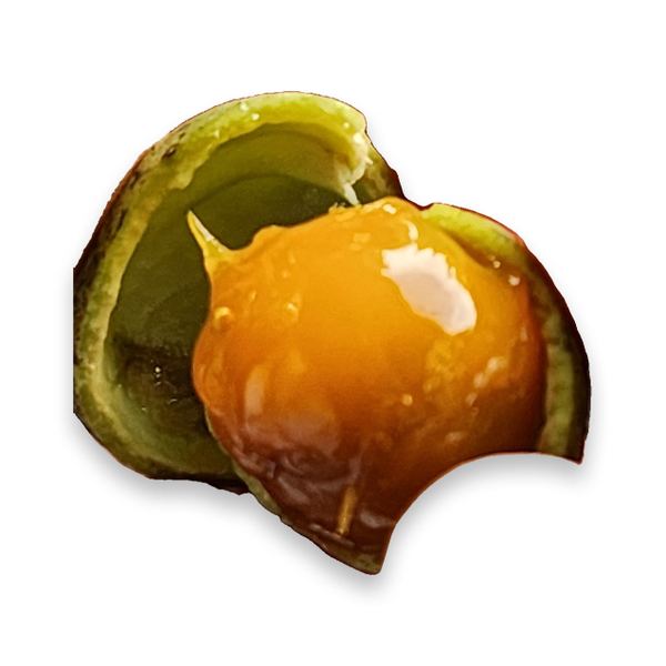 Burmese Grape
