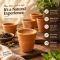 Handmade Terracotta Kulhad Cups (Set of 6)