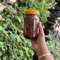 Dry Sidra  Fish Achar